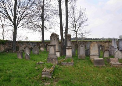 Židovský hřbitov Velká Bukovina, Omnium, 2017
