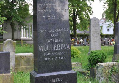 Čáslav - židovský hřbitov, Omnium, 2017