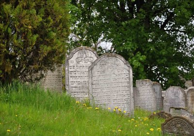 Židovský hřbitov Osoblaha, Omnium, 2017