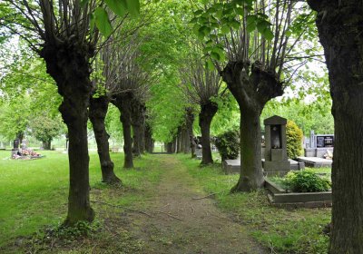 Hřbitov Osoblaha, Omnim, 2017