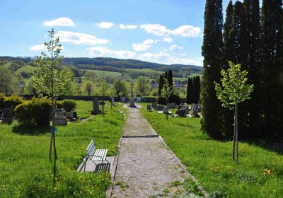 Obecní hřbitov Třemešná, Omnium, 2017