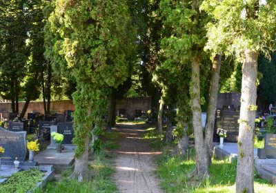 Evangelický hřbitov Choceň, Šimůnek Tomáš, 2017