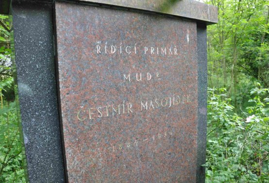 Zaniklá část hřbitova, Větrovská Barbora, 2016