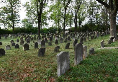 Libochovice židovský hřbitov, Omnium, 2020