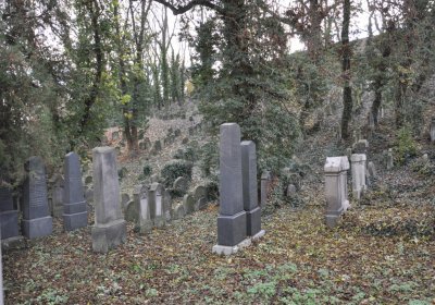 Roudnice nad Labem starý židovský hřbitov, Omnium, 2020
