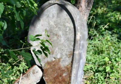 Čížkovice židovský hřbitov, Omnium, 2020