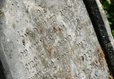 Čížkovice židovský hřbitov, Omnium, 2020