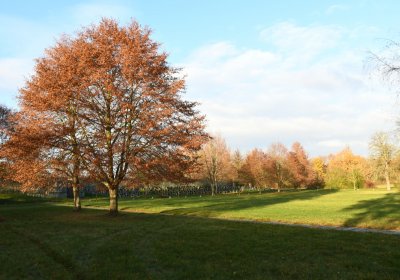 Terezín židovský hřbitov, Omnium, 2020