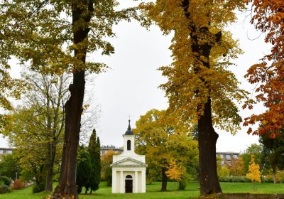 Horní Litvínov - Pietní park, Omnium, 2020