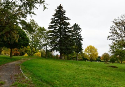 Horní Litvínov - Pietní park, Omnium, 2020