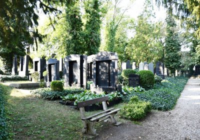 Louny židovský hřbitov, Omnium, 2020