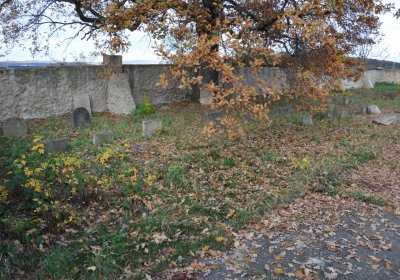 Údlice nový židovský hřbitov, Omnium, 2020
